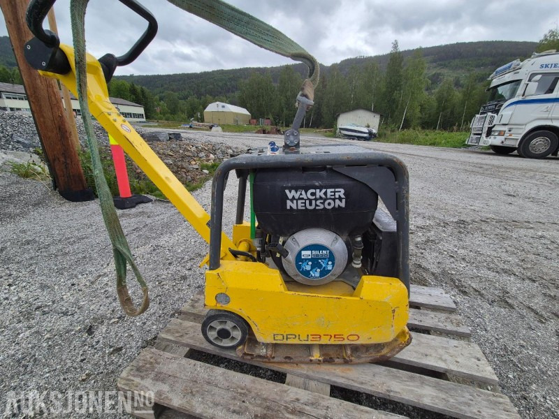 2019 Wacker Neuson DPU3750 / Hoppetusse / Vibroplate / Komprimator - Roller: picture 4 2019 Wacker Neuson DPU3750 / Hoppetusse / Vibroplate / Komprimator - Roller: picture 4