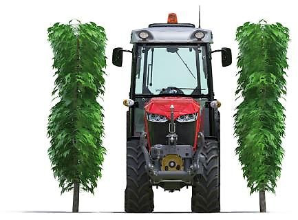 Massey Ferguson MF 3VI105 Efficient - Farm tractor: picture 1 Massey Ferguson MF 3VI105 Efficient - Farm tractor: picture 1
