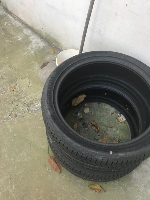 Continental NOI NOU ContisportContact 255 / 40 ZR 21 - Wheel and tire package: picture 2 Continental NOI NOU ContisportContact 255 / 40 ZR 21 - Wheel and tire package: picture 2