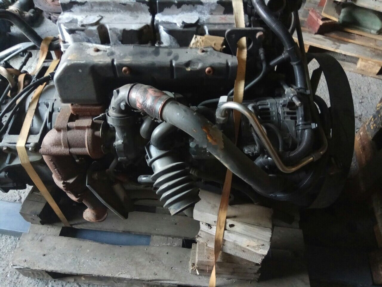 MAN D0834 LFL01 MAN TGL - Engine for Truck: picture 1 MAN D0834 LFL01 MAN TGL - Engine for Truck: picture 1