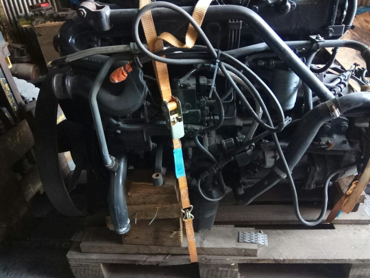 MAN D0834 LFL01 MAN TGL - Engine for Truck: picture 2 MAN D0834 LFL01 MAN TGL - Engine for Truck: picture 2