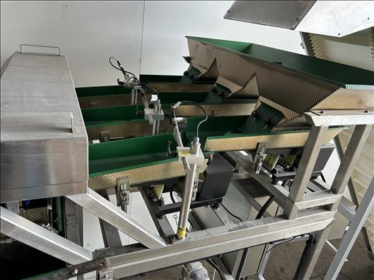 Food processing equipment Posiweigh Triple200 Three lane linear weighing line: picture 9