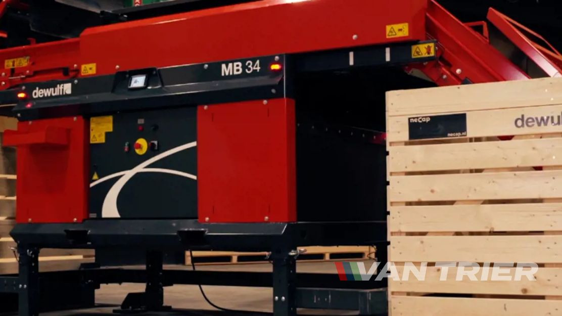 Miedema MB34 Box filler - Conveyor: picture 5 Miedema MB34 Box filler - Conveyor: picture 5