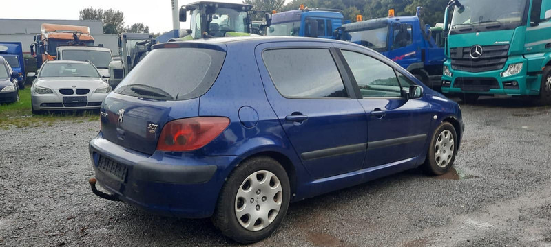 Peugeot 307 Grand Filou - Hatchback: picture 3 Peugeot 307 Grand Filou - Hatchback: picture 3