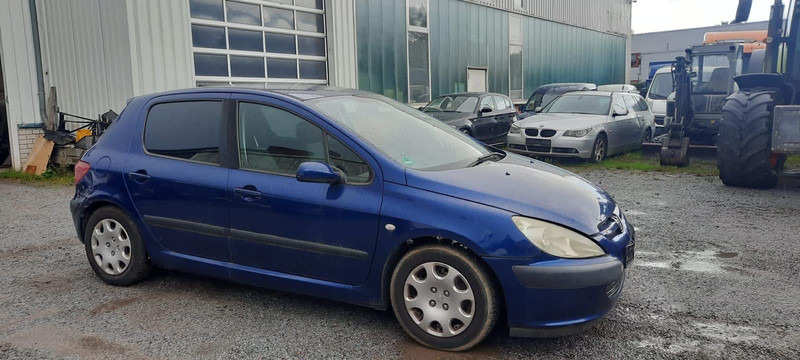 Peugeot 307 Grand Filou - Hatchback: picture 2 Peugeot 307 Grand Filou - Hatchback: picture 2