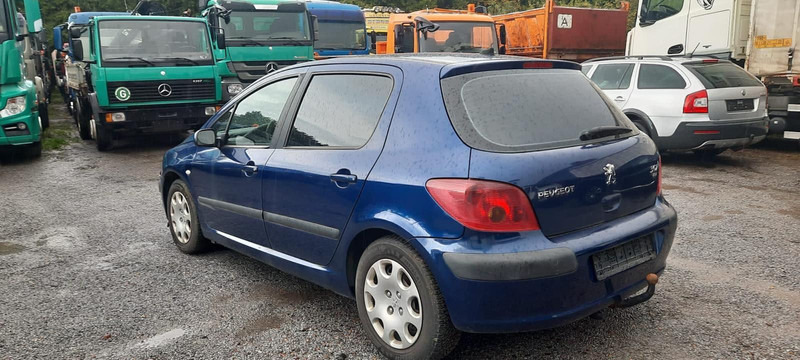 Peugeot 307 Grand Filou - Hatchback: picture 1 Peugeot 307 Grand Filou - Hatchback: picture 1