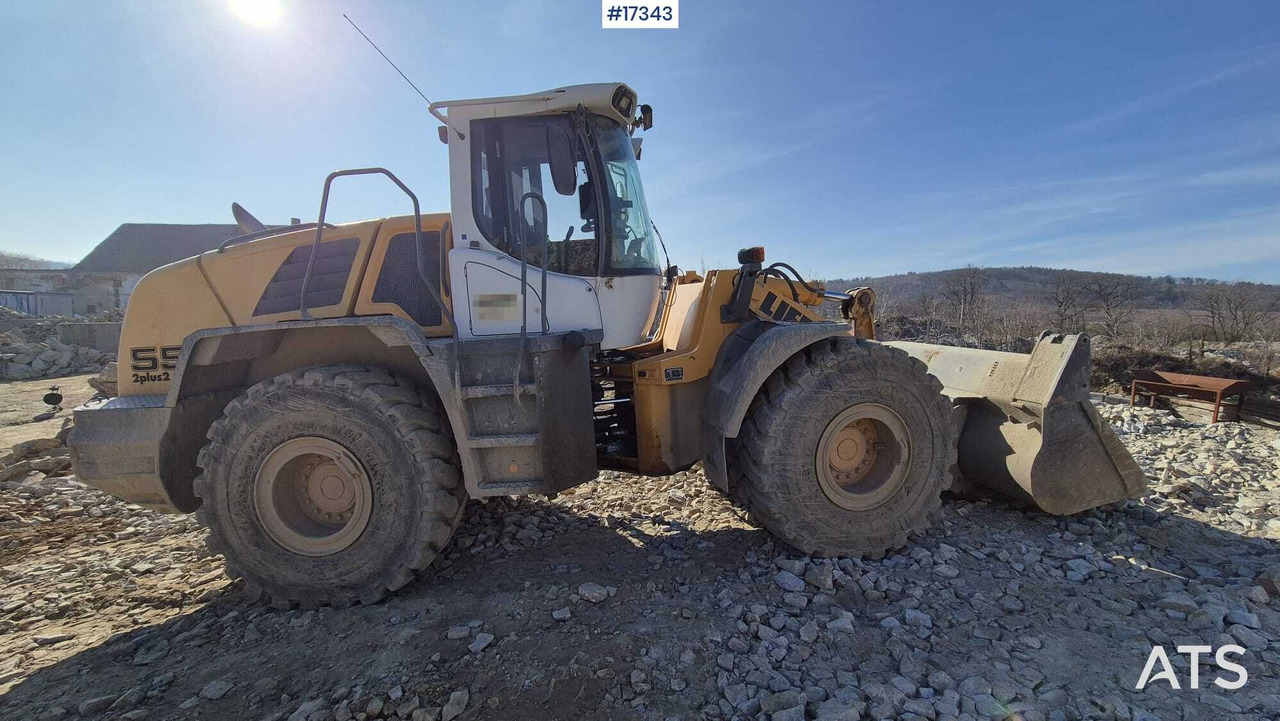 LIEBHERR L556 wheel loader (2008) - Wheel loader: picture 3 LIEBHERR L556 wheel loader (2008) - Wheel loader: picture 3