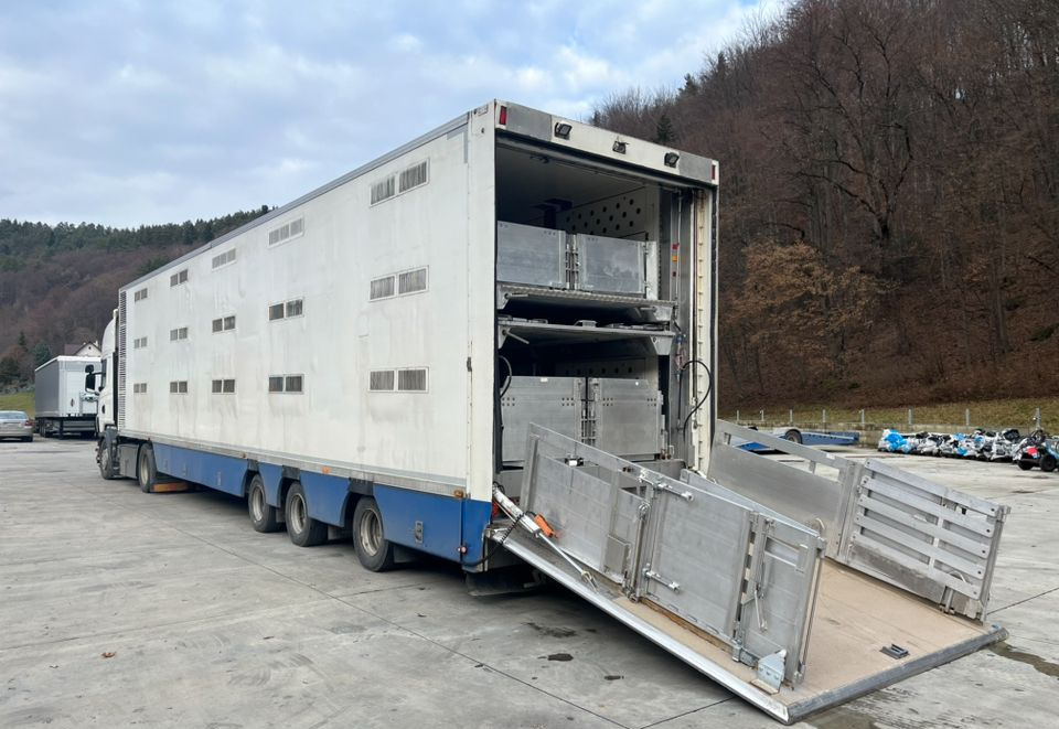 Pezzaioli HMK Industri // Do przewozu zwierząt // 2004 Rok // 3 Pokłady // Waga // Osi skrętne // Oznonacja // - Livestock semi-trailer: picture 1 Pezzaioli HMK Industri // Do przewozu zwierząt // 2004 Rok // 3 Pokłady // Waga // Osi skrętne // Oznonacja // - Livestock semi-trailer: picture 1