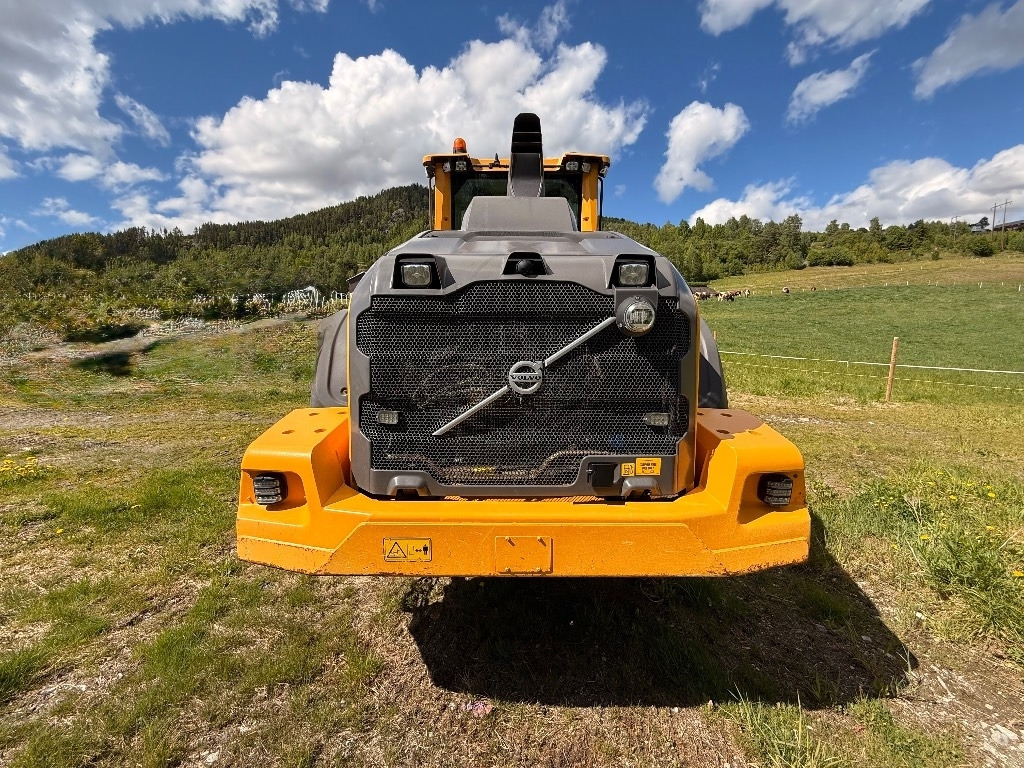 Wheel loader Volvo L 110 H: picture 10