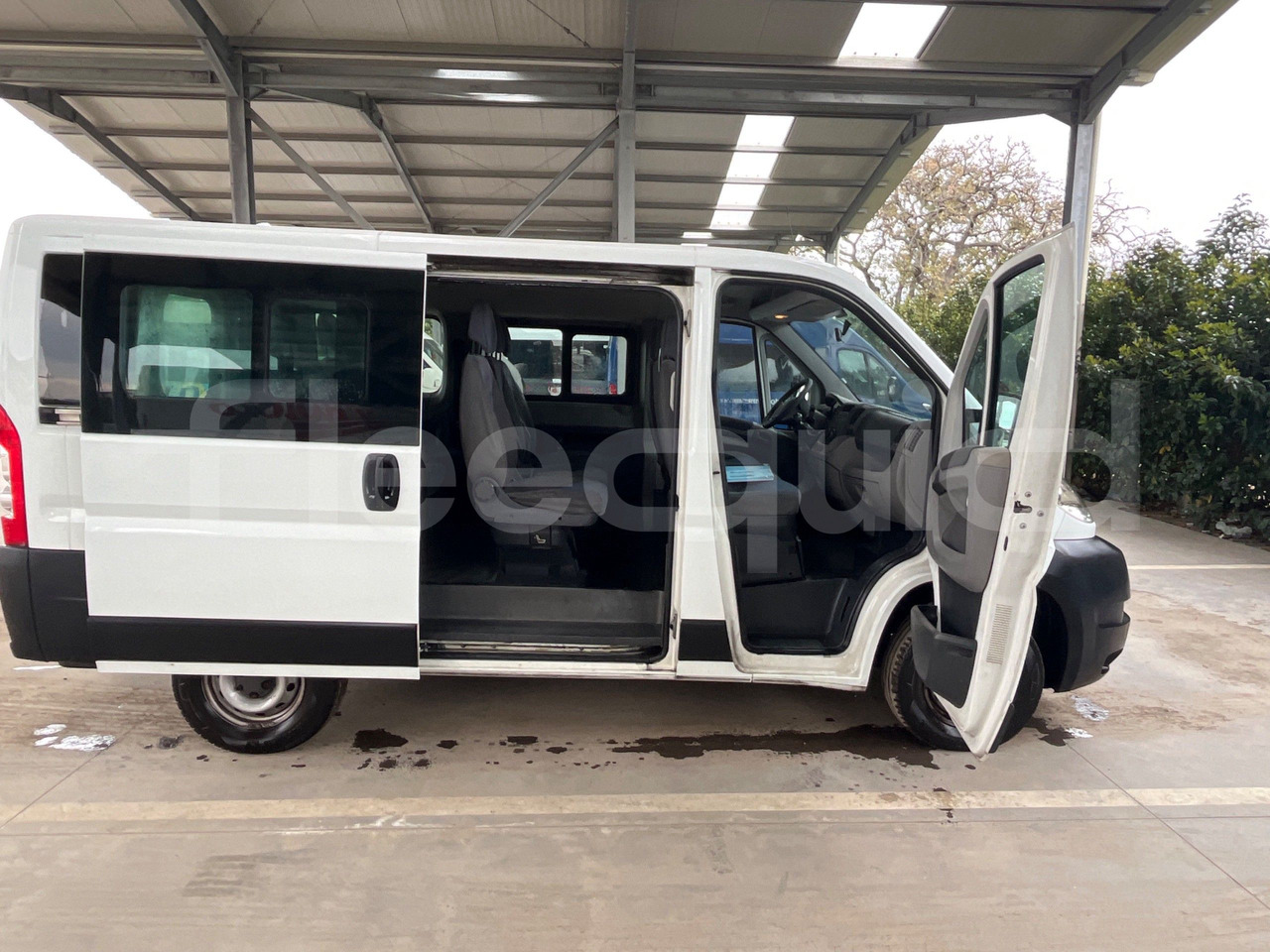 Minibus, Passenger van Fiat Ducato: picture 14
