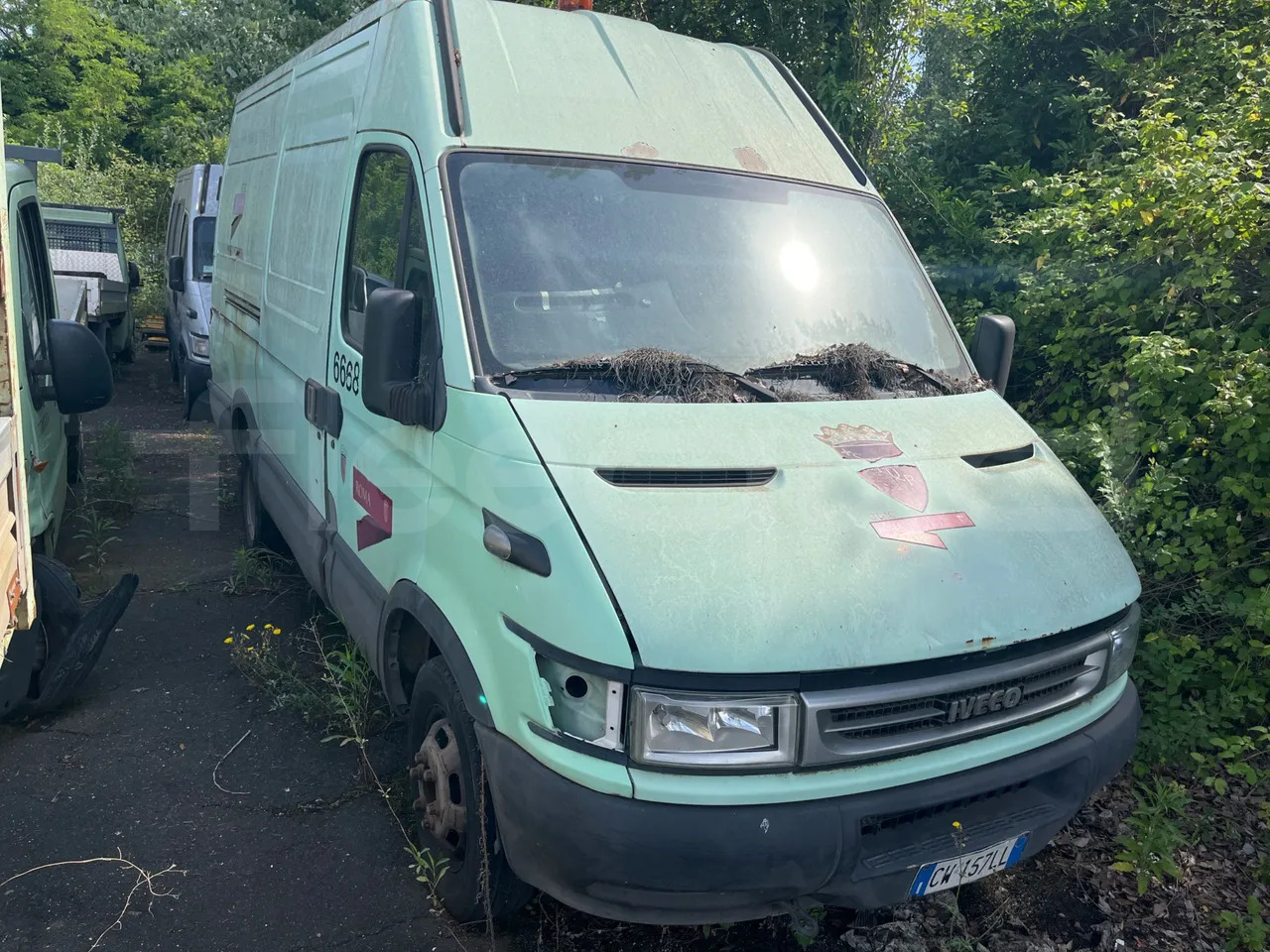Iveco Daily - Minibus, Passenger van: picture 1 Iveco Daily - Minibus, Passenger van: picture 1