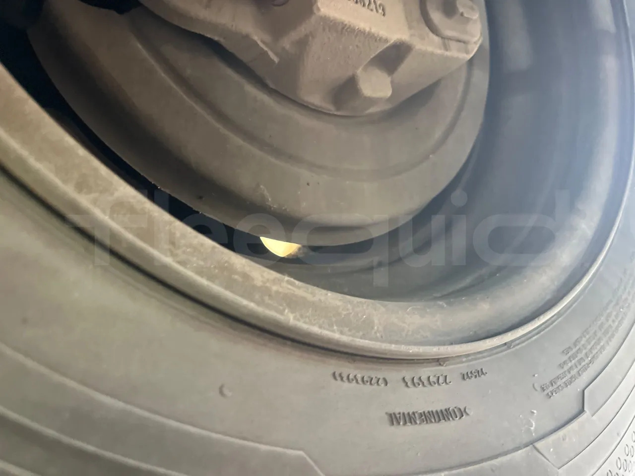 School bus Iveco Daily: picture 49