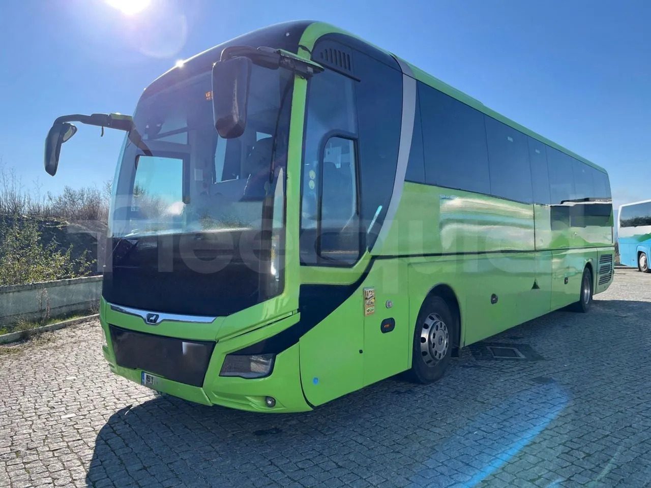Man Lion's Coach - Coach: picture 4 Man Lion's Coach - Coach: picture 4