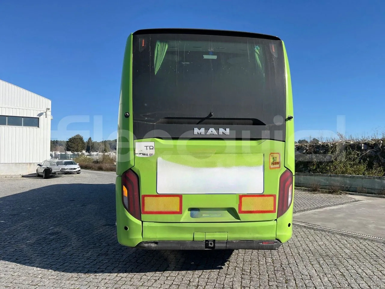 Man Lion's Coach - Coach: picture 5 Man Lion's Coach - Coach: picture 5