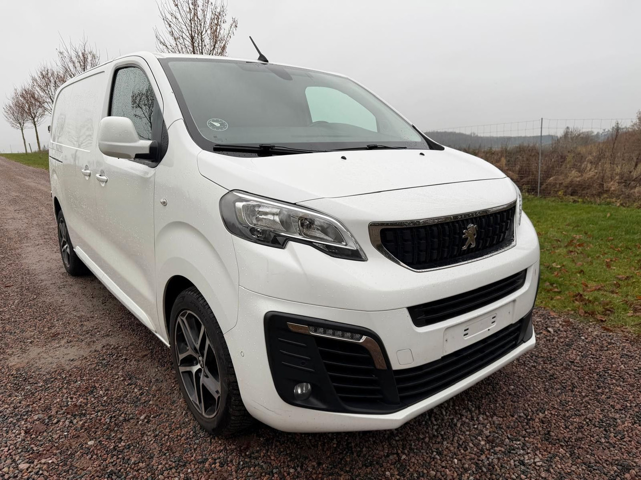 Small van Peugeot Expert Kasten Premium L2: picture 8