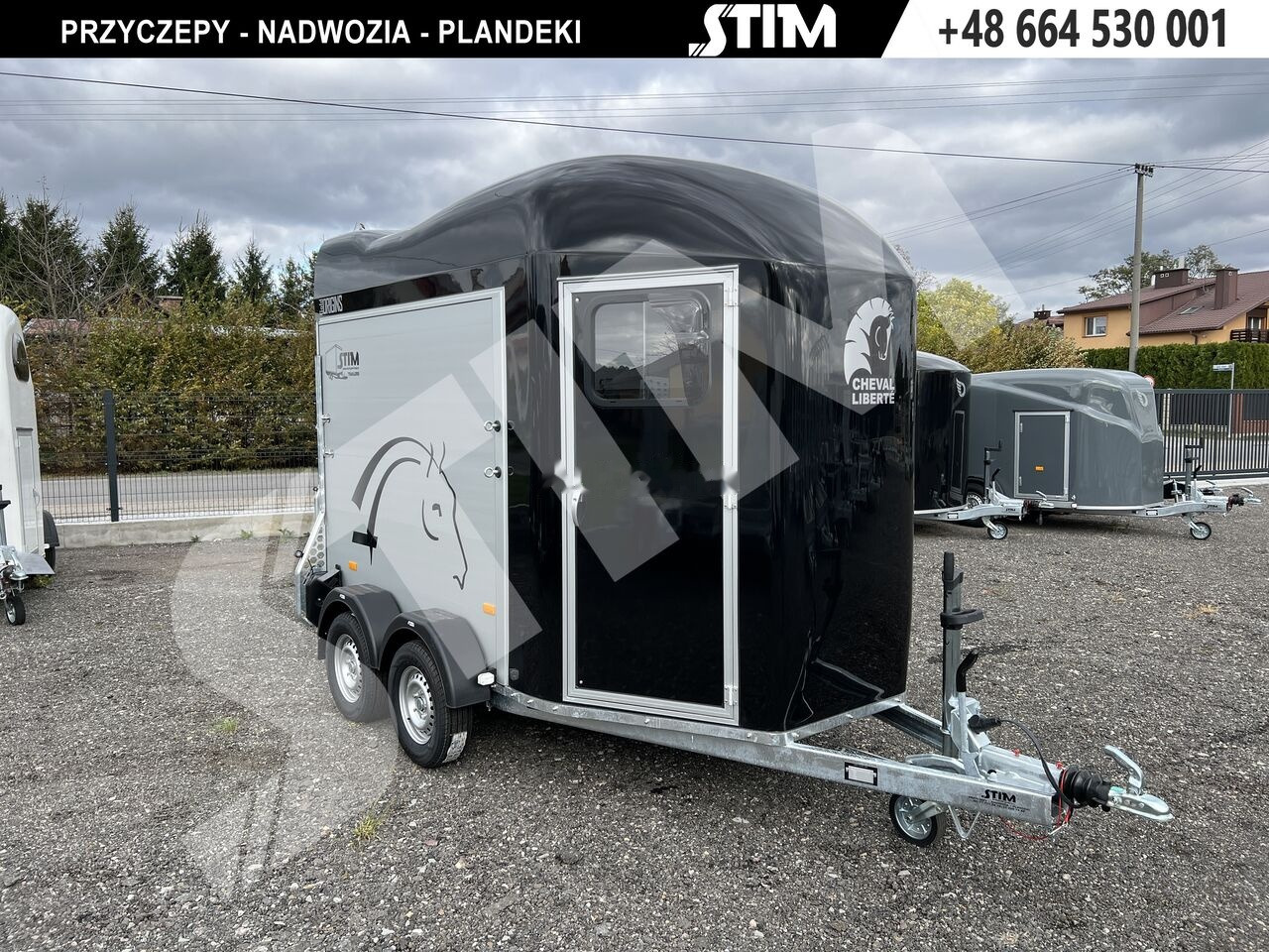 New Horse trailer Cheval Liberté GOLD ORIGINS: picture 6