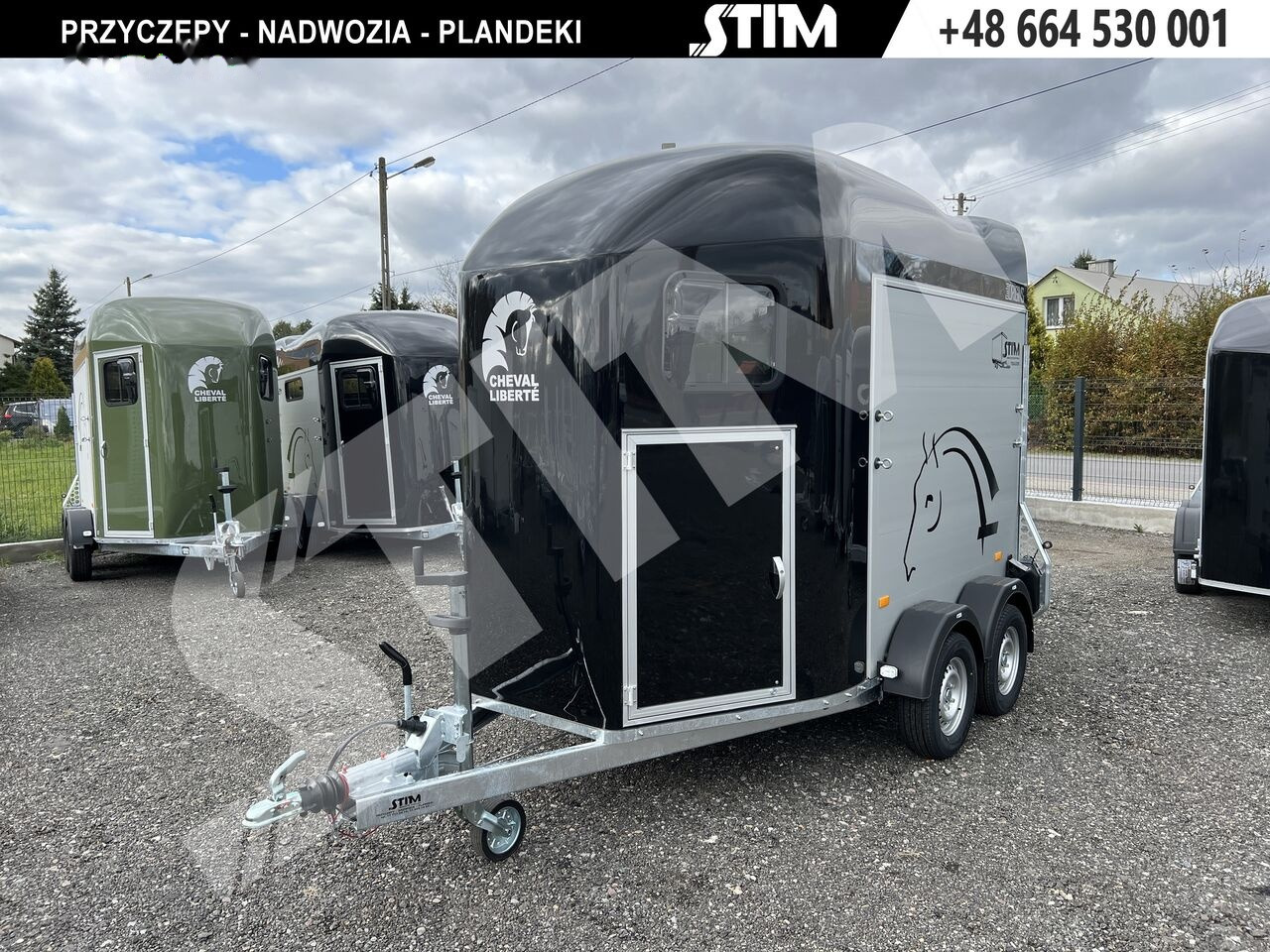 New Horse trailer Cheval Liberté GOLD ORIGINS: picture 7