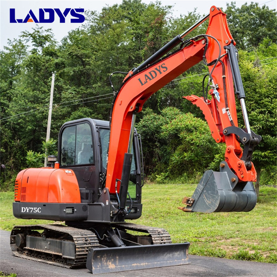 LADYS DY75C Small Excavator Euro 5/Epa Yanmar Engine Small Excavator Crawler Excavator For Sale - Crawler excavator: picture 4 LADYS DY75C Small Excavator Euro 5/Epa Yanmar Engine Small Excavator Crawler Excavator For Sale - Crawler excavator: picture 4