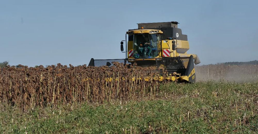 New Sunflower header Oros SUN 876 8 rzędowy, Nowe Przystawki do zbioru słonecznika,: picture 14 New Sunflower header Oros SUN 876 8 rzędowy, Nowe Przystawki do zbioru słonecznika,: picture 14