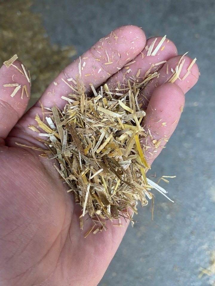 Bizon B-1130 kein teagle tomahawk, roto haybuster - Straw shredder: picture 3 Bizon B-1130 kein teagle tomahawk, roto haybuster - Straw shredder: picture 3