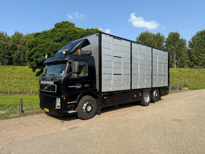 Volvo FM 300 Livestock Cuppers 3 laags 6x2 - Livestock truck: picture 3 Volvo FM 300 Livestock Cuppers 3 laags 6x2 - Livestock truck: picture 3