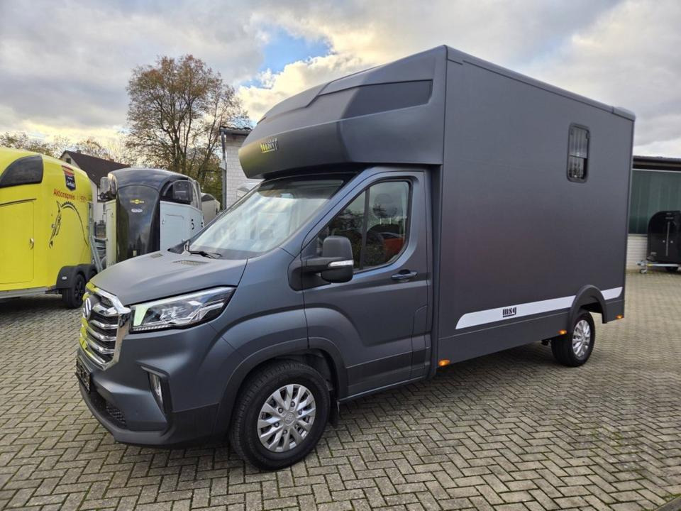 MSG Stablehopper Pferdetransporter Pferdeanhänger Böckmann - Horse truck: picture 1 MSG Stablehopper Pferdetransporter Pferdeanhänger Böckmann - Horse truck: picture 1