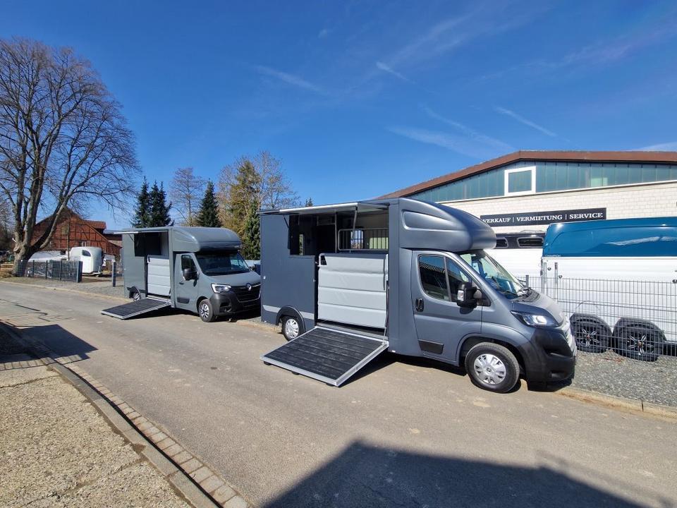 MSG Stablehopper Pferdetransporter Pferdeanhänger Böckmann - Horse truck: picture 1 MSG Stablehopper Pferdetransporter Pferdeanhänger Böckmann - Horse truck: picture 1