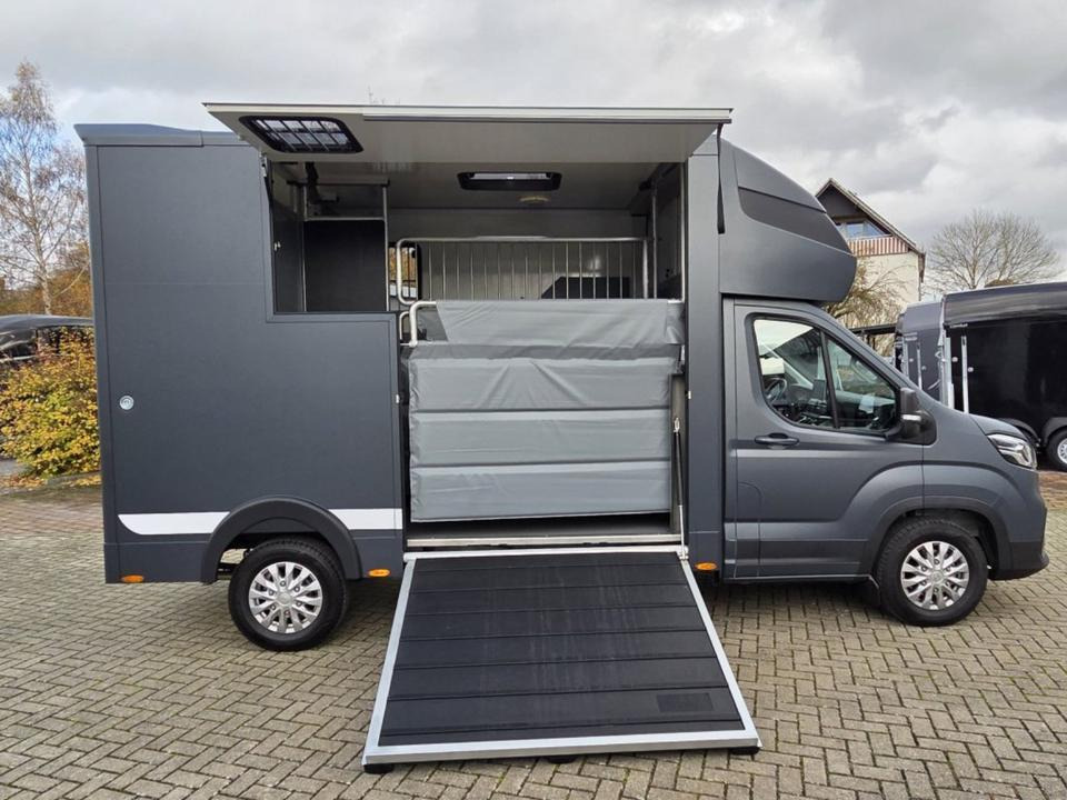 MSG Stablehopper Pferdetransporter Pferdeanhänger Böckmann - Horse truck: picture 3 MSG Stablehopper Pferdetransporter Pferdeanhänger Böckmann - Horse truck: picture 3