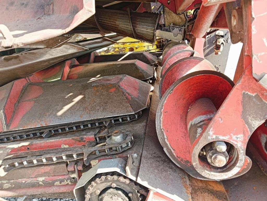 Corn header Dominoni 8 FILE: picture 9