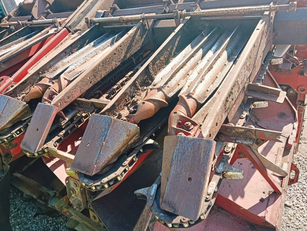 Corn header Dominoni 8 FILE: picture 6