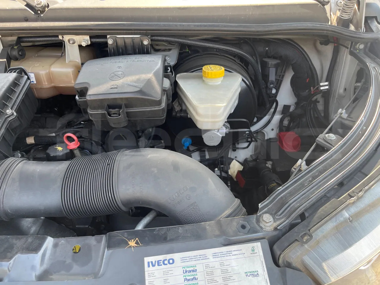 Minibus, Passenger van Iveco Daily: picture 15 Minibus, Passenger van Iveco Daily: picture 15