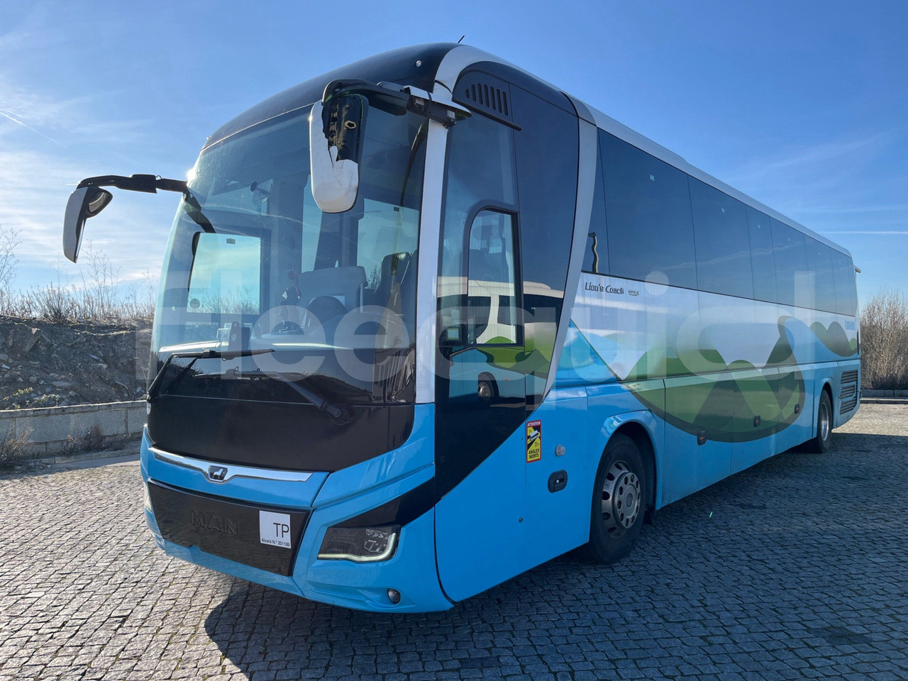 Man Lion's Coach - Coach: picture 4 Man Lion's Coach - Coach: picture 4