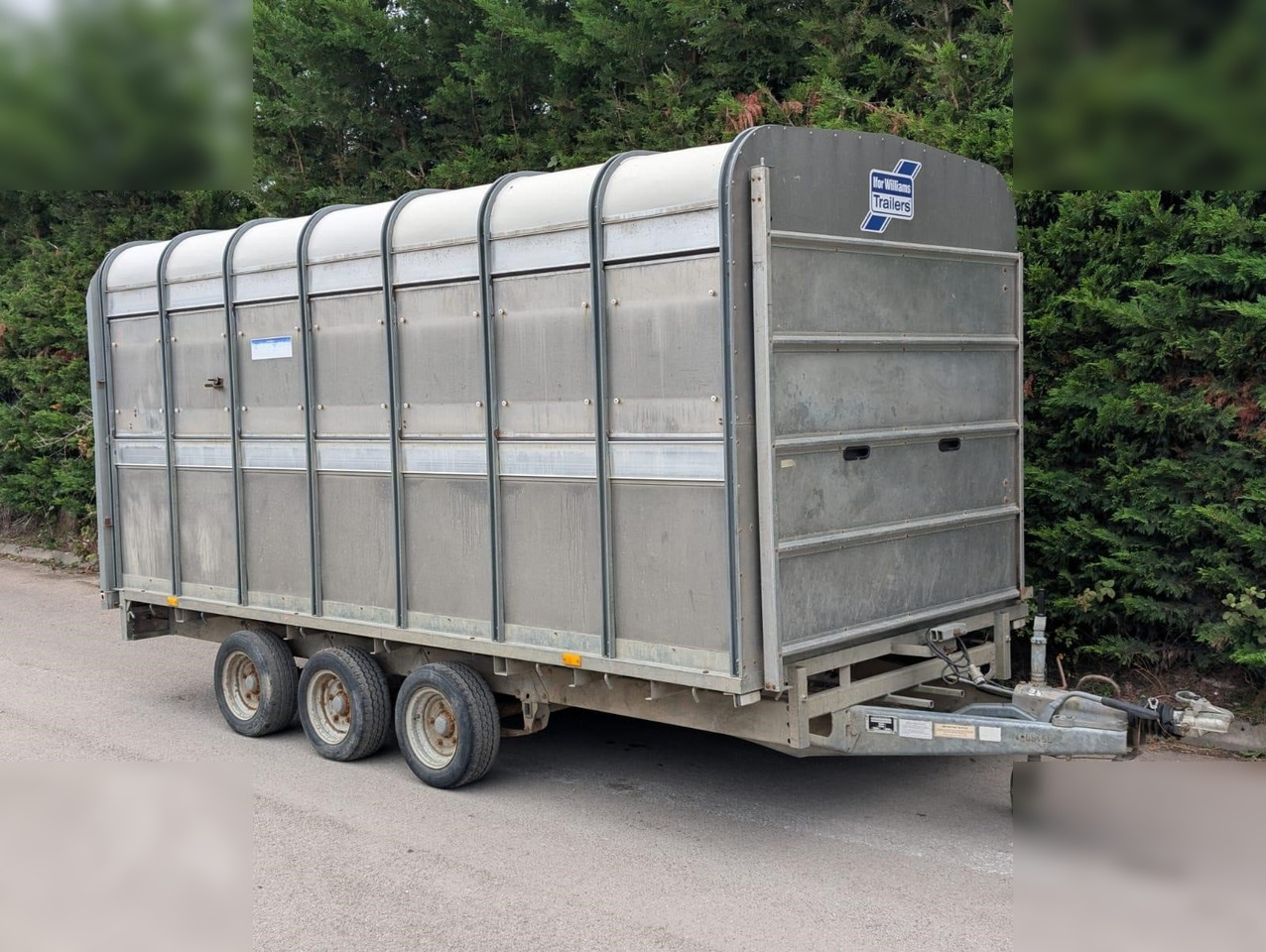2004 IFOR WILLIAMS DP120G - Livestock trailer: picture 1 2004 IFOR WILLIAMS DP120G - Livestock trailer: picture 1
