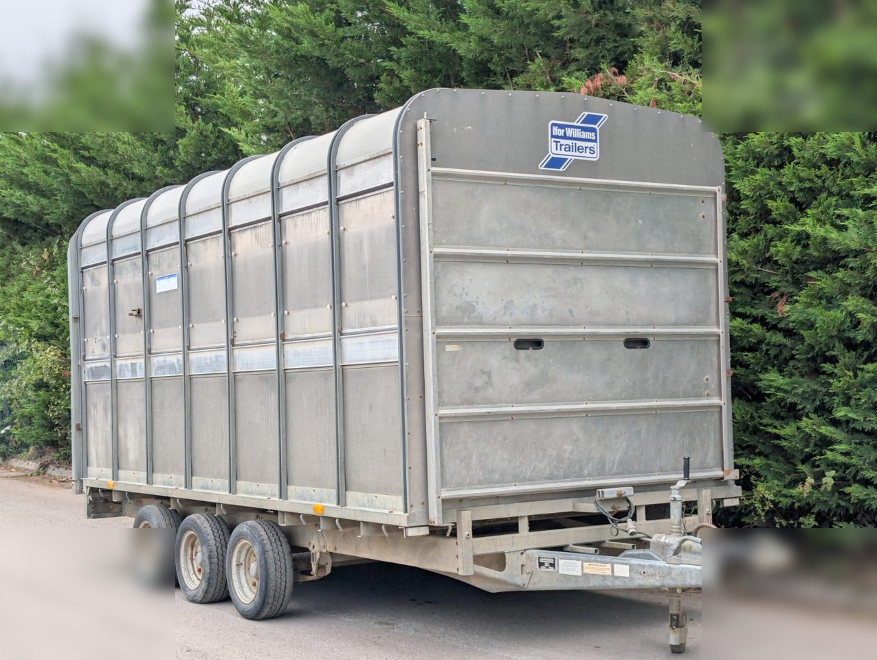 2004 IFOR WILLIAMS DP120G - Livestock trailer: picture 2 2004 IFOR WILLIAMS DP120G - Livestock trailer: picture 2