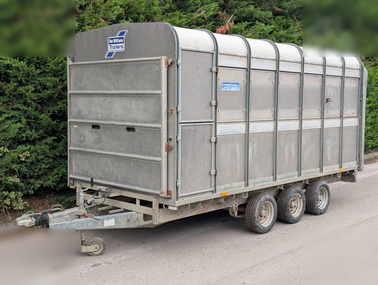 2004 IFOR WILLIAMS DP120G - Livestock trailer: picture 3 2004 IFOR WILLIAMS DP120G - Livestock trailer: picture 3