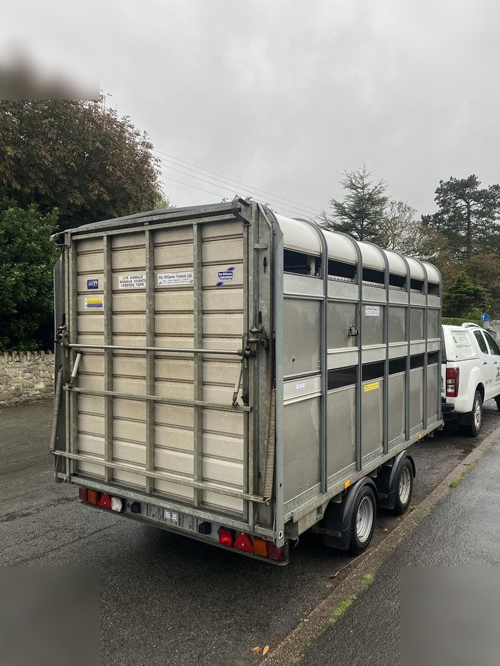 2018 IFOR WILLIAMS DP120 - Livestock trailer: picture 2 2018 IFOR WILLIAMS DP120 - Livestock trailer: picture 2
