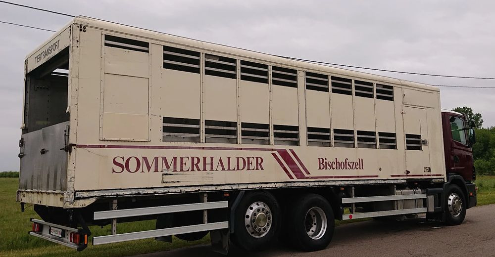 Livestock truck Scania 124 420 Do żywca: picture 7