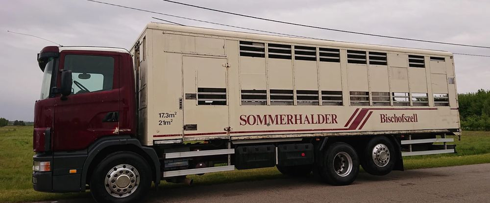 Livestock truck Scania 124 420 Do żywca: picture 12
