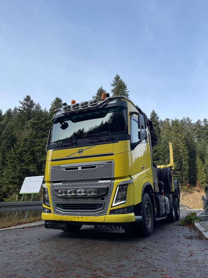 Tractor unit, Timber trailer VOLVO FH16 650: picture 9 Tractor unit, Timber trailer VOLVO FH16 650: picture 9
