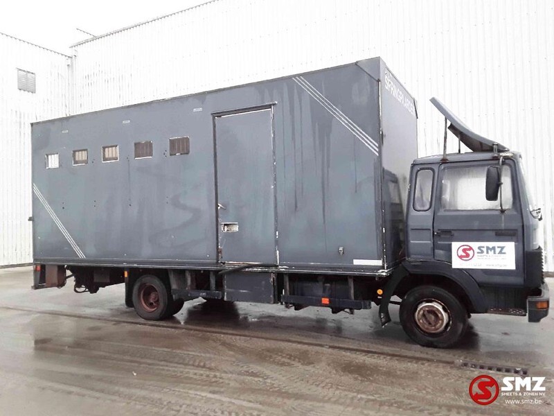 Iveco Magirus 80 16 horse truck - Livestock truck: picture 4 Iveco Magirus 80 16 horse truck - Livestock truck: picture 4