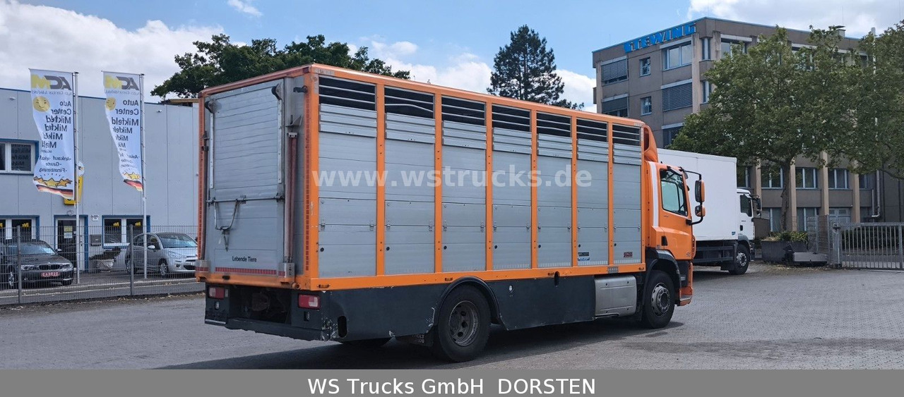 DAF CF 400 Menke Einstock Viehtransporter - Horse truck: picture 5 DAF CF 400 Menke Einstock Viehtransporter - Horse truck: picture 5
