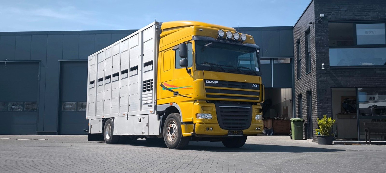 DAF XF 410 SC Menke Doppelstock - Horse truck: picture 4 DAF XF 410 SC Menke Doppelstock - Horse truck: picture 4