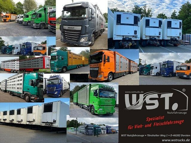 Refrigerator trailer Getränke  WST Edition 1500 Small 2.5x1.5x1.9: picture 13