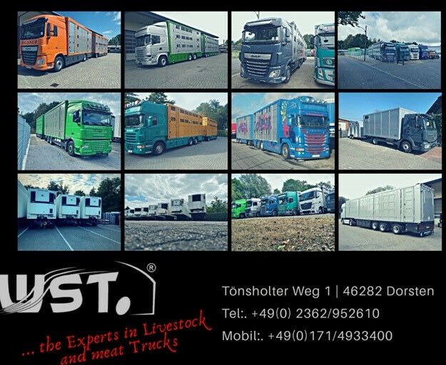 Curtainsider semi-trailer Krone Planauflieger SDP 27  Edscha, Rungen: picture 16
