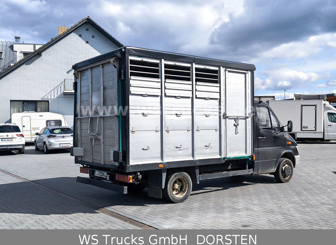 Mercedes-Benz Sprinter 411 CDI Viehtransporter - Livestock truck: picture 3 Mercedes-Benz Sprinter 411 CDI Viehtransporter - Livestock truck: picture 3