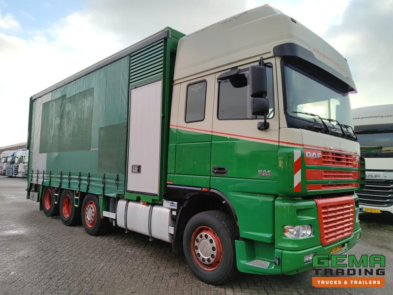 DAF FAK XF95.430 8x2 SuperSpaceCab Euro3 - CurtainSider 7.31m + Ramp 16T - MachineTransporter - 6 Persons (V558) - Autotransporter truck: picture 3 DAF FAK XF95.430 8x2 SuperSpaceCab Euro3 - CurtainSider 7.31m + Ramp 16T - MachineTransporter - 6 Persons (V558) - Autotransporter truck: picture 3