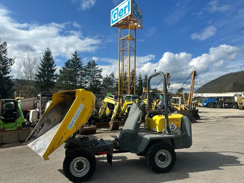 Mini dumper Neuson 3001 (3861): picture 9