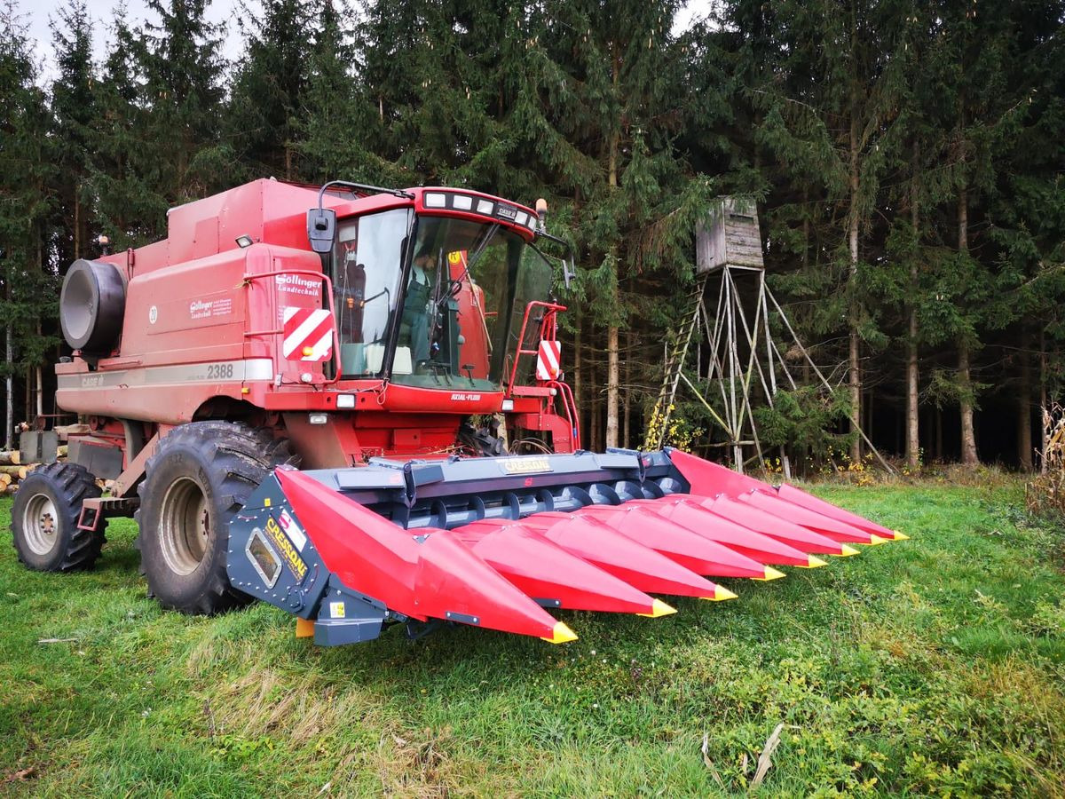 New Corn header Cressoni Maispflücker: picture 24