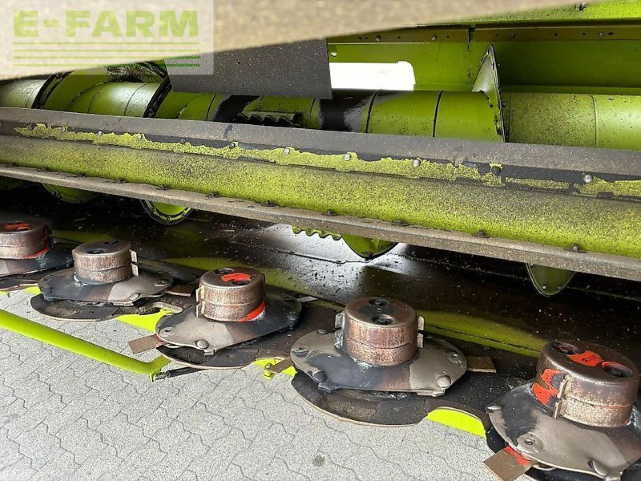 Forage harvester attachment CLAAS direct disc 500 p: picture 10
