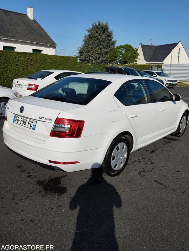 FD-256-FC - Roulant - SKODA OCTAVIA - VP - 417 000 Kms - Car: picture 4 FD-256-FC - Roulant - SKODA OCTAVIA - VP - 417 000 Kms - Car: picture 4